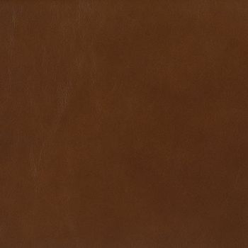 Picture of KL255-76