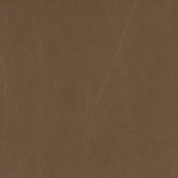Picture of KL255-89
