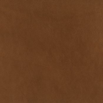 Picture of KL255-97